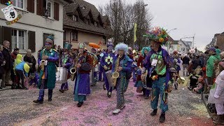 Guggenmusik Quastenflosser Hinterthurgau Groppenfasnacht Ermatingen 11032018 [upl. by Balac]