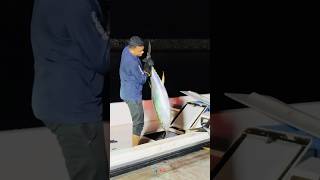 Tuna Fishing in Oman  oman vlog Malayalam Jamsheer Jz [upl. by Skiba]