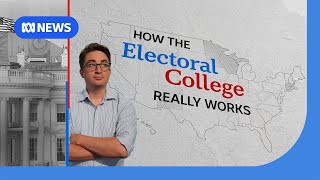 The BEST Way to Understand the US Electoral College System in 2024  ABC News [upl. by Euqinahc]