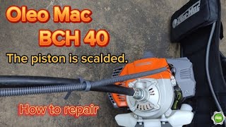 Oleomac BCH 40  piston replacement  how to fix brushcutter [upl. by Kaitlin79]