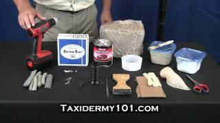 How to Taxidermy  Deer Taxidermy  Taxidermy Videos [upl. by Noned]