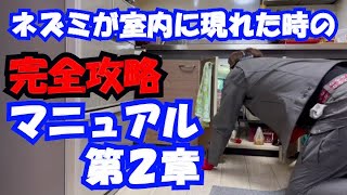 【ネズミ駆除】室内に突然ネズミが現れた時の完全攻略 ＃２ [upl. by Nierman]