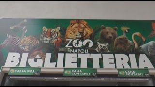 Napoli  Lo Zoo riparte con un progetto di ampliamento 2 070415 [upl. by Paula394]