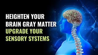 Gray Matter Activation Frequency  Heighten Your Brain Gray Matter  Upgrade Your Sensory Systems [upl. by Bove429]