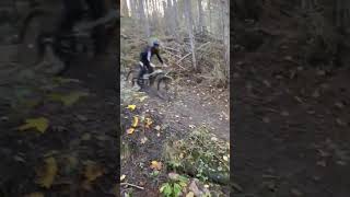 Session Evo bike Park 🔥🔥 mtbenduro dh [upl. by Idoux]