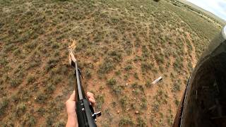 Hunting Gemsbok from A Helicopter [upl. by Finer]