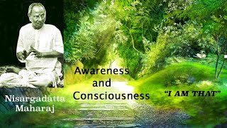 Nisargadatta Maharaj  I Am That  Item 11 Awareness And Consciousness Eternal And Relative [upl. by Aicilram934]