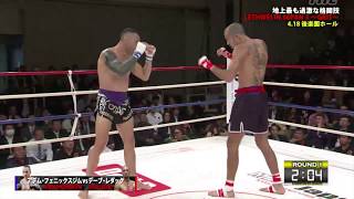 Dave Leduc Vs Adem Yilmaz  Tokyo Japan 🇯🇵 Highlight 1842017 [upl. by Marley]