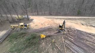 Clear Cut Logging [upl. by Suiramed]