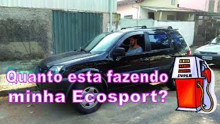 TQE DICAS Consumo Ford Ecosport 2007 16 Zetec Rocam Flex [upl. by Lertram510]