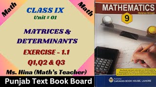 Exercise11 Q123 Matrices And Determinants 9Th Class Math Chapter 1 mshina punjabboard [upl. by Scutt]