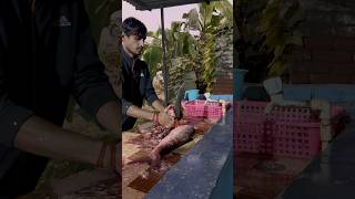 fish cutting skills alivefishcutting fish fishingmeat [upl. by Colston]