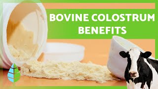 BOVINE COLOSTRUM 🥛🐮 12 Health Benefits You Need to Know [upl. by Nowell]