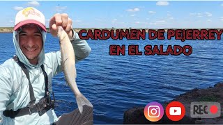 ENCONTRÉ EL CARDUMEN 🎣🔥 RIO SALADO PUENTE BEGUERIE 🔥 [upl. by Leizahaj]