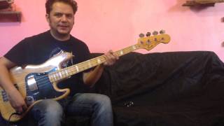 Fender FatFinger Demo Review Lalo Fierro [upl. by Aizitel968]