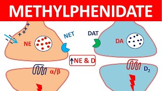 Methylphenidate Ritalin for ADHD  Mechanism precautions side effects amp uses [upl. by Aivatahs]