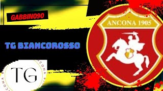 POST PARTITA ANCONA  CESENA ●TG BIANCOROSSO [upl. by Ruffina]