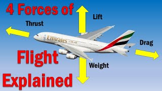 The 4 Forces of Flight  How Flight Works [upl. by Dafna922]