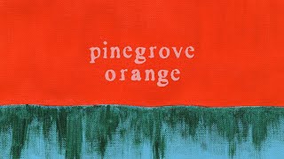 Pinegrove  quotOrangequot Official Lyric Video [upl. by Luzader]