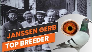 All 4 Grandparents Are Original  Janssen Gebr  Racing Pigeons For Sale In Herbots Pigeons Auction [upl. by Solrac]