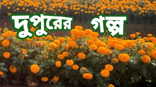 দুপুরের গল্পবাঙাল ঘটির গল্পবাংলা গল্পBengali Audio StoryBangla golpoJhimly Sathe Rohoshy Golpo [upl. by Adia271]