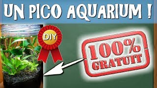 UN PICO AQUARIUM GRATUIT  TUTODIY Aquariophilie by Aquazen [upl. by Lorenzana]