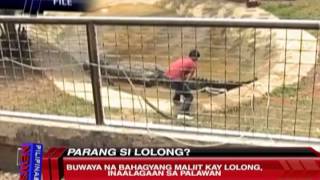 News5E  BAGONG LOLONG [upl. by Silvanus631]