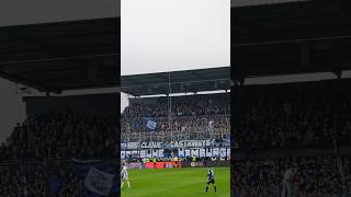 Ultras HSV auswärts in Elversberg 🏟️📢hsv hamburg hamburgersv ultras fans fußball shorts [upl. by Nirahs248]