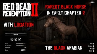 How To Get the RARE Black Arabian Horse As EARLY In Chapter 2 For FREE RDR2 rdr2 [upl. by Burn230]