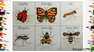 Insects drawing easy l how to draw insects  ladybug butterfly ant mosquito housefly honeybee [upl. by Markos]