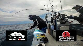 FORCE FED them some IRON  Yellowtail Fishing Cedros Island Fishing ep2 [upl. by Hege]