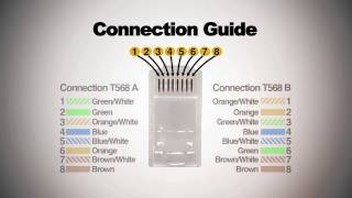 How to make Cat6 patch cord [upl. by Esiuqcaj]