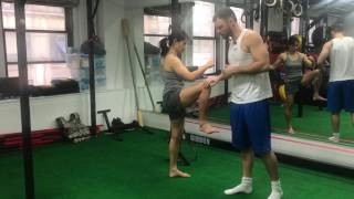 Strengthen Your Knee With These Exercises Knee Hinges [upl. by Lyle]