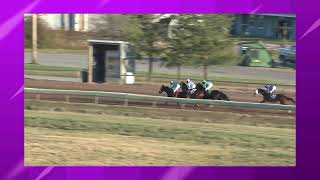 11142023 Finger Lakes Racetrack up to 10 second delay [upl. by Enineg]