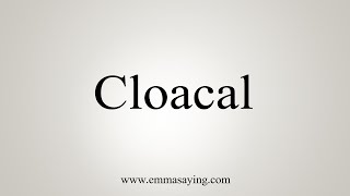 How To Say Cloacal [upl. by Shepley]