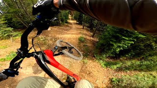 NEW BIKE DAY  Testing my new GT FORCE CARBON at TRESTLE BIKE PARK [upl. by Quintie]