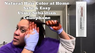 Natural Hair Color at Home with Sebastian Cellophane I WaterBaby Kendra [upl. by Jody]