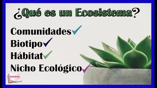 👉Los Ecosistemas ¿Qué son comunidades hábitat biotipo nicho ecológico Jopabaa [upl. by Hortensa]