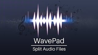 How to Split Audio Files into Tracks or Smaller Segments  WavePad Audio Editor Tutorial [upl. by Roch]