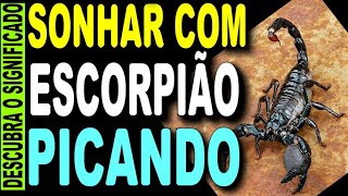 🔥 SONHAR COM ESCORPIÃO PICANDO JOGO DO BICHO O QUE SIGNIFICA SONHAR COM ESCORPIÃO NUMERO DA SORTE [upl. by Magnusson416]