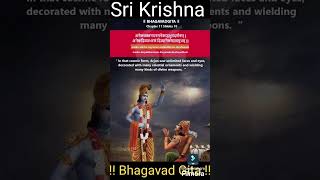 Bhagavad Gita in Kannada and English Chapter 11 and Verses 10 [upl. by Namzzaj]