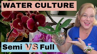 Semi Water Culture and Full Water Culture Whats the Difference [upl. by Malan]