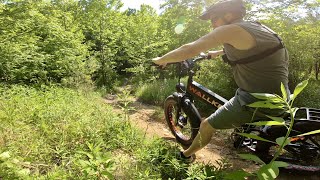 The tank of 26 inch offroad dual motor Ebike WALLKE X3 MAX [upl. by Leach320]