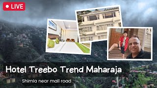 Escape to Hotel Treebo Trend Maharaja Inn Shimla for an Unforgettable Vacation travel shortvideos [upl. by Fowkes]