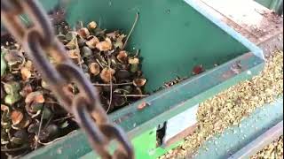 Slow Speed shredder shredding Macadamia Nut Husks for mulch or composting [upl. by Tristis]