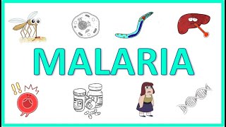 Malaria  Causes Pathogenesis Signs and Symptoms Diagnosis Treatment and Prevention [upl. by Deanna858]