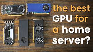 Whats the BEST LowProfile GPU for your Home Lab [upl. by Truk]