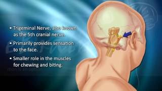 Understanding Trigeminal Neuralgia  eBrainMDcom [upl. by Eeladnerb]