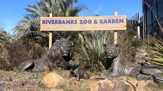 Riverbanks Zoo  Columbia SC February 2023 [upl. by Schiro]