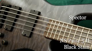 White Guitars  Spector  NS Pulse 5 II  Black Stain [upl. by Dougy]